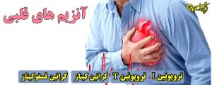 آنزیم های قلبی
